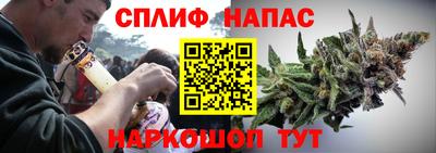 МДПВ Кингисепп