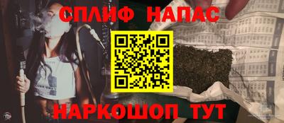 МДПВ Кингисепп