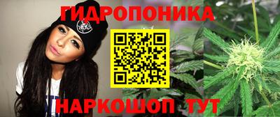 mdma Канаш