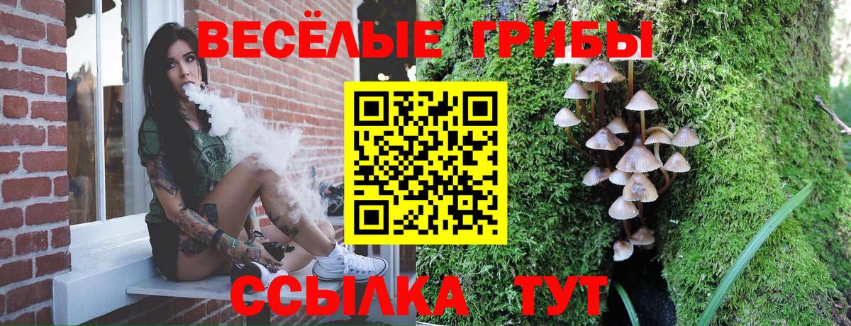 Псилоцибиновые грибы GOLDEN TEACHER  Вход с VPN  купить закладку  Красный Сулин 